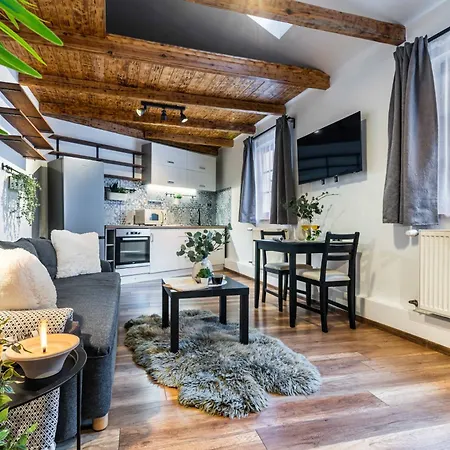 U Hluboké Studny Apartamento Rakovník